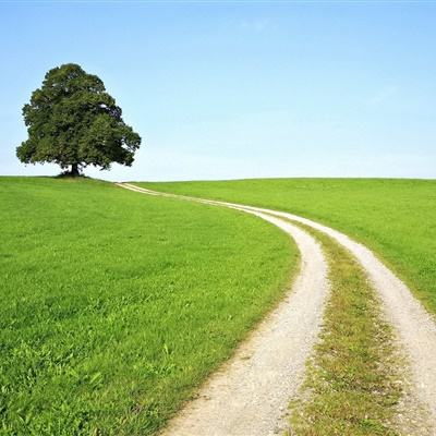 乐鱼官网-登录入口