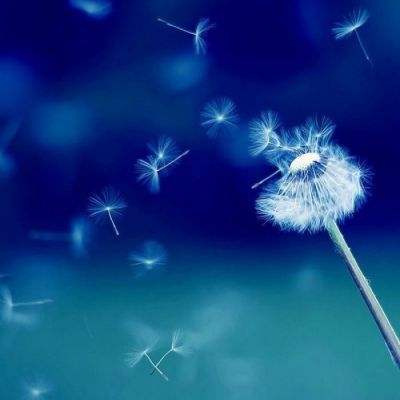 PG麻将胡了免费版下载手机版