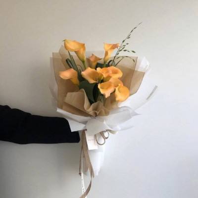 万博手机版max网页版(中国)官方网站下载手机版