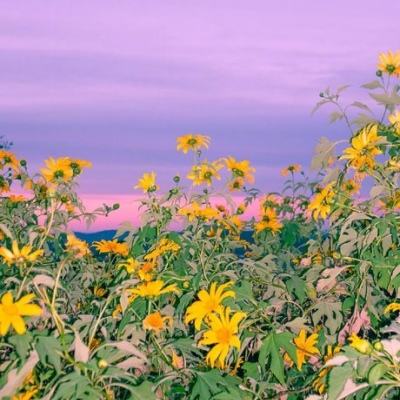 半岛·综合体育APP