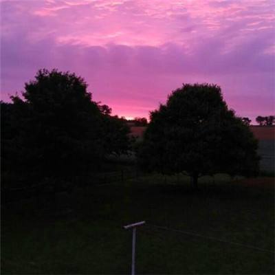 Bob体育综合APP下载客户端