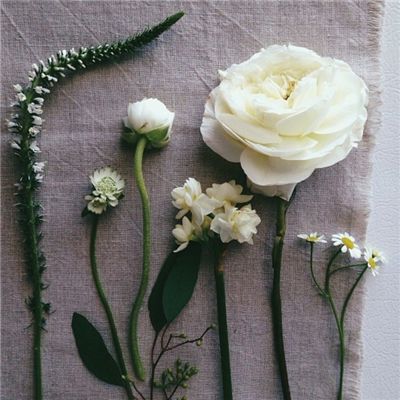 BOB·体育综合APP下载